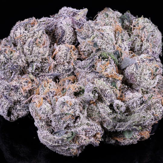 Tamarack Cannabis - Tamarack | A Bud Bulk Flower - Runtz - 1