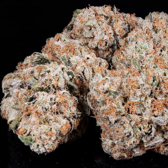 Tamarack Cannabis - Tamarack | A Bud Bulk Flower - Motorbreath - 1