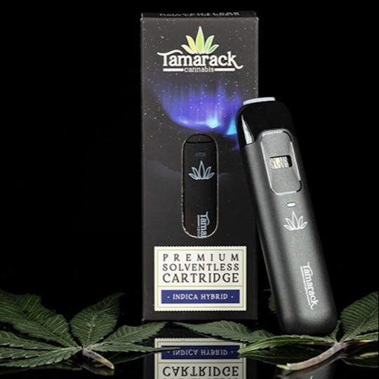 Tamarack Cannabis - Tamarack | .3g Live Rosin Disposable Vape - Honey Banana - 1