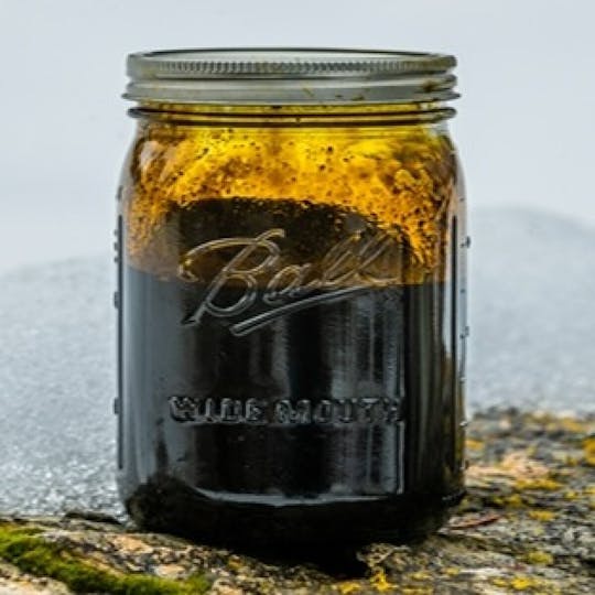 Tamarack Cannabis - Tamarack | Bulk RSO - 1