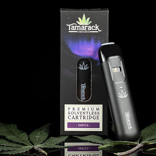 Tamarack Cannabis - Tamarack | .3g Live Rosin Disposable Vape - Papaya - 1