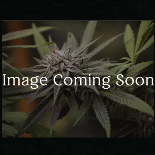 Tamarack Cannabis - Tamarack | A Bud Bulk Flower - Orange Flambe - 1