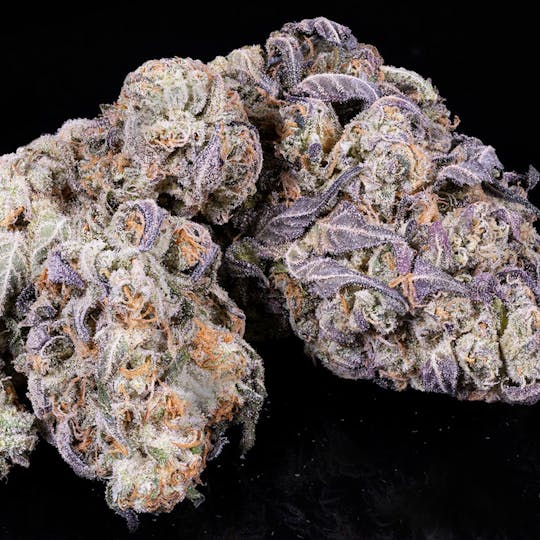 Tamarack Cannabis - Tamarack | A Bud Bulk Flower - Tiger Cake - 1