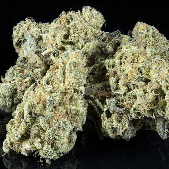 Tamarack Cannabis - Tamarack | A Bud Bulk Flower - Montana Silvertip - 1