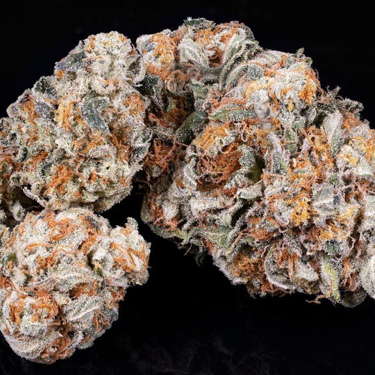 Tamarack Cannabis - Tamarack | A Bud Bulk Flower - Corleone - 1