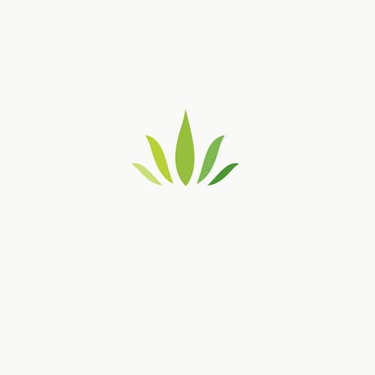 Tamarack Cannabis - Tamarack | A Bud Bulk Flower - Hash Burger - 1