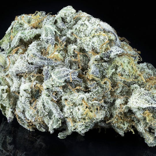 Tamarack Cannabis - Tamarack | A Bud Bulk Flower - Kush Mint - 1