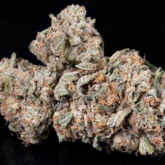 Tamarack Cannabis - Tamarack | A Bud Bulk Flower - Supermax OG - 1