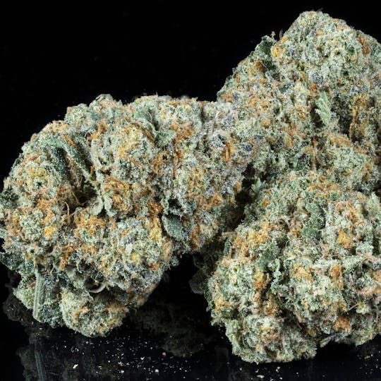 Tamarack Cannabis - Tamarack | A Bud Bulk Flower - White Tahoe - 1