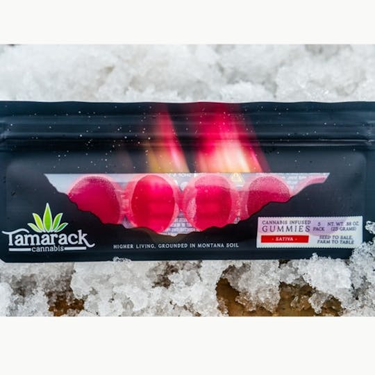 Tamarack Cannabis - Tamarack | Extra Strength Gummies 5pk - Watermelon (Day) - 1