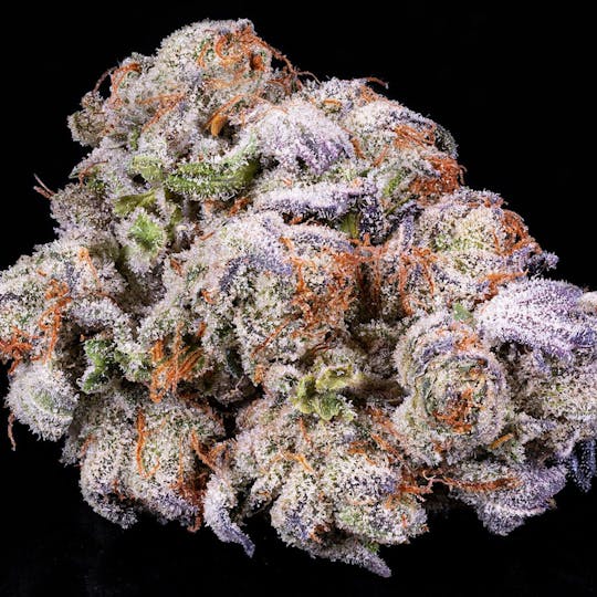 Tamarack Cannabis - Tamarack | A Bud Bulk Flower - Jokerz Candy - 1
