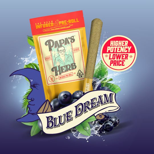 Papa's Herb - Blue Dream (1g) Infused Preroll - 1