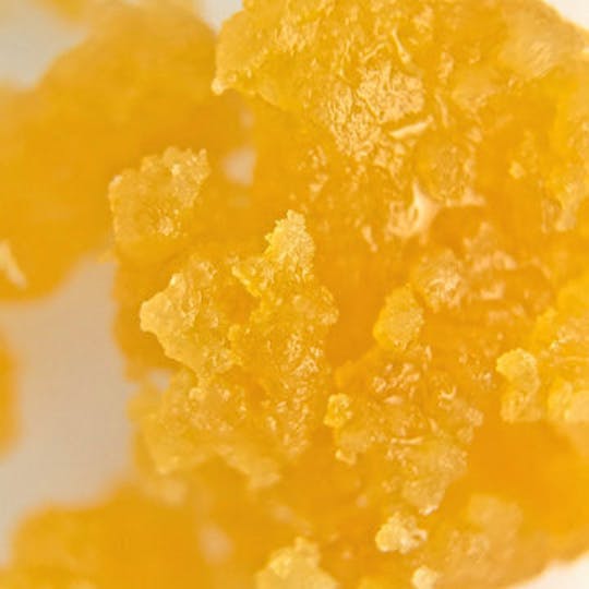 Original Intelligence - Royal Tree Red Velvet 1g Wax - 1