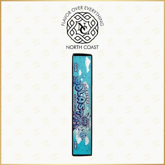 North Coast - North Coast Blueberry Blast Hemp Paper Donut 2.5G - 1