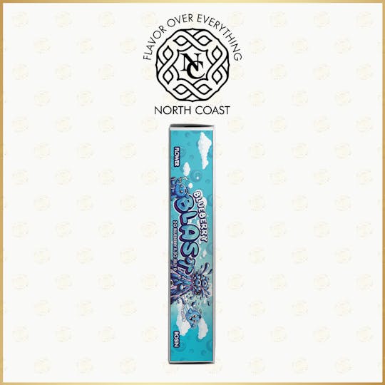 North Coast - North Coast Blueberry Blast Rice Paper Donut 2.5G - 1
