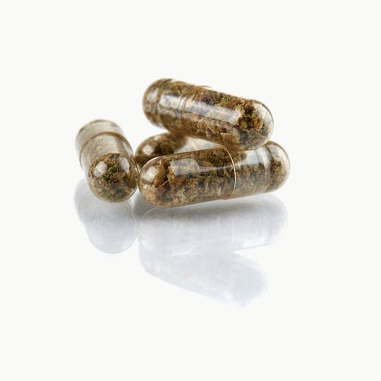 Hashishans - HASHISHANS - HASHISHANS HASH CAPS 10 PACK 500MG - 1
