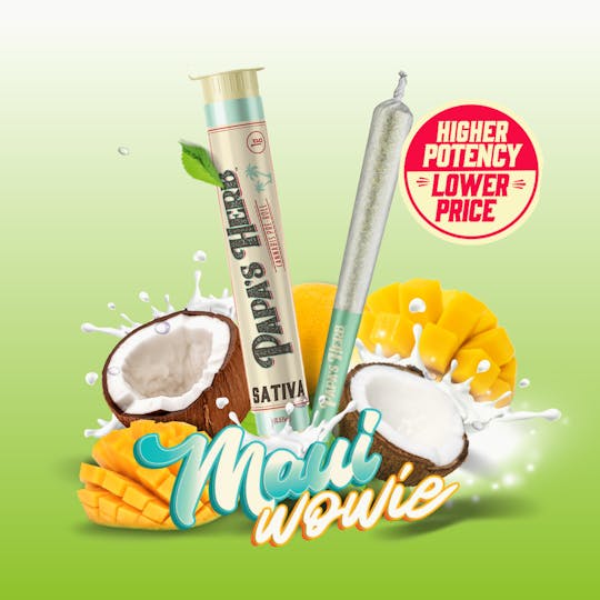 Papa's Herb - Maui Wowie (1g) Preroll - 1