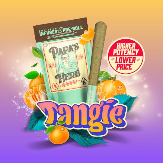 Papa's Herb - Tangie (1g) Infused Pre Roll - 1