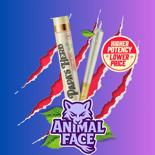 Papa's Herb - Animal Face (1g) Preroll - 1