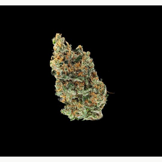 Auraz - Premium Flower | Blueberry - 1