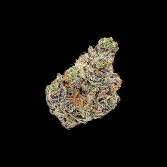 Auraz - Premium Flower | Fritter Banger - 1
