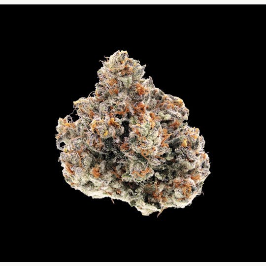 Auraz - Caleta Flower | Flame Banger - 1
