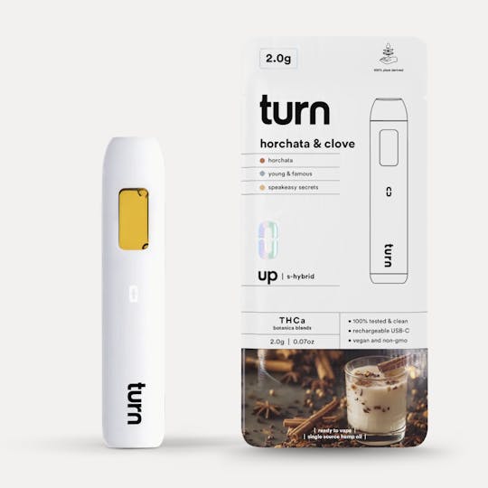 turn - Turn | Horchata & Clove | Disposable | 2G - 1