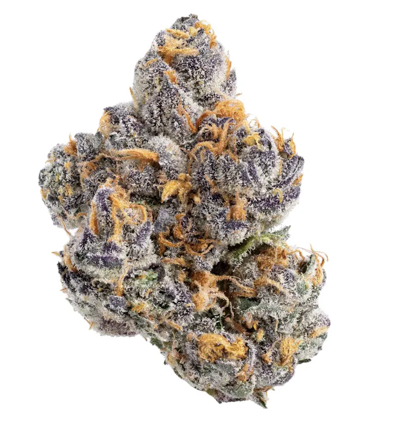 Turn Caramelo Dream Flower 3.5G