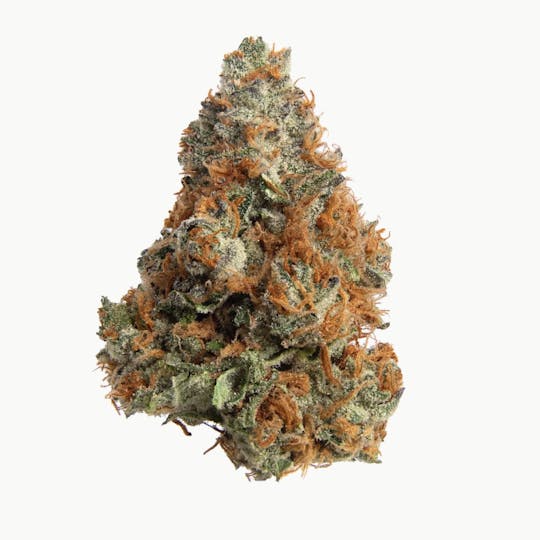 turn - Turn | Post Lemón | Flower | 3.5G - 1