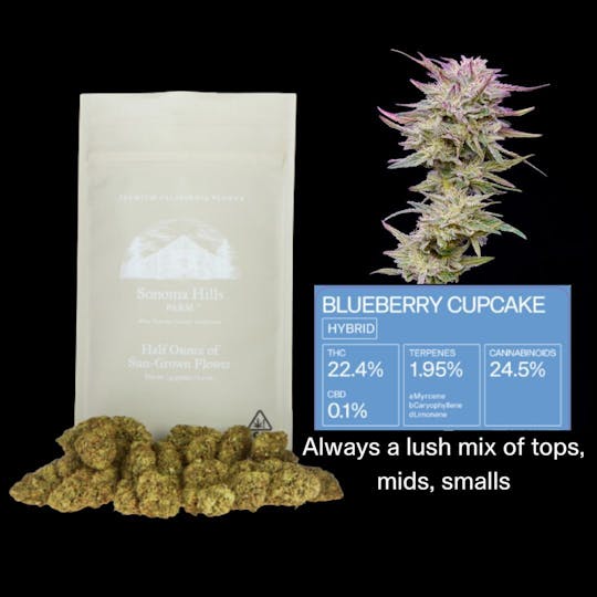 Sonoma Hills Farm - Blueberry Cupcake - 14g Flower Bag - 1