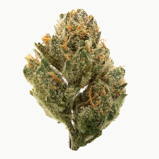 Frostiez - KO OG - Topshelf Indoor - New Drop - Hybrid - 1