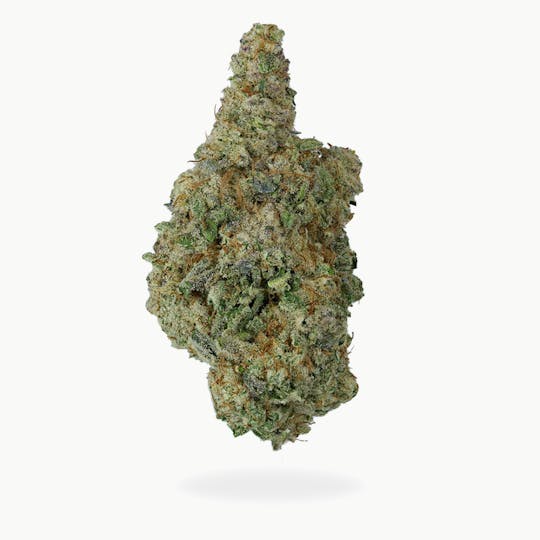 Green Truck - Green Truck - Truck Club Half Ounce: Loud Mouth Grape - 1
