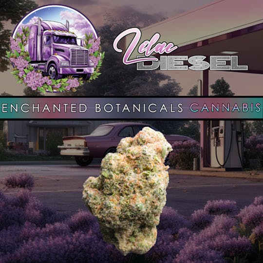 Enchanted Botanicals - Enchanted Botanicals | Lilac Diesel | Flower - 1