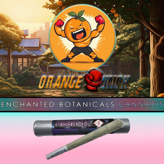 Enchanted Botanicals - Enchanted Botanicals | Orange Punch | Pre Roll - 1