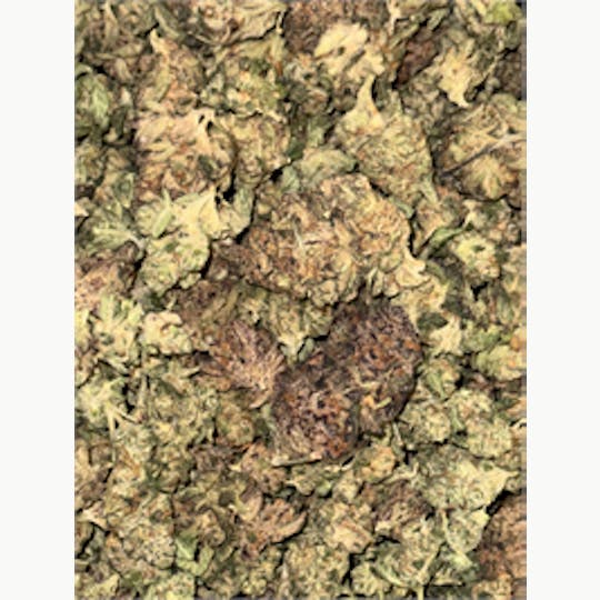 KING WEEDY CANNABIS - Bacio Punch - 1