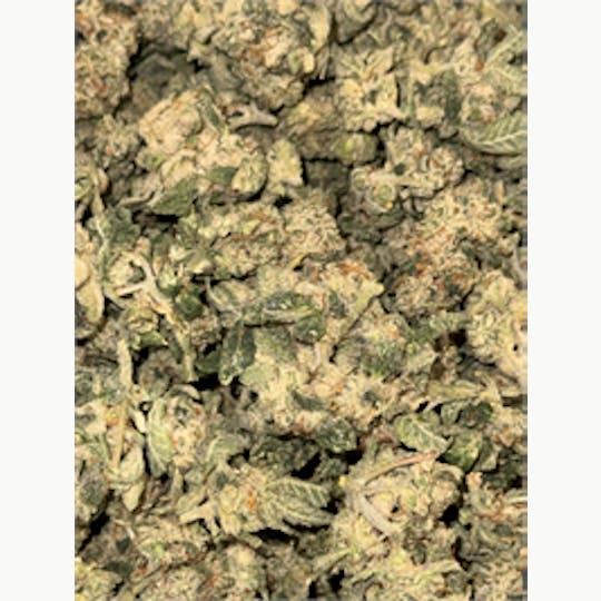 KING WEEDY CANNABIS - Animal - 1