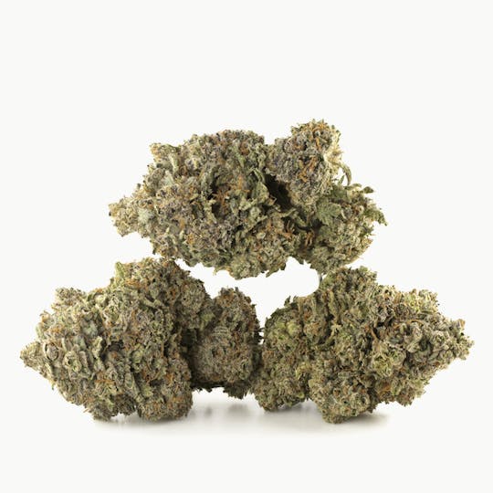 LA Native - Jelly Donut - Sungrown - 1