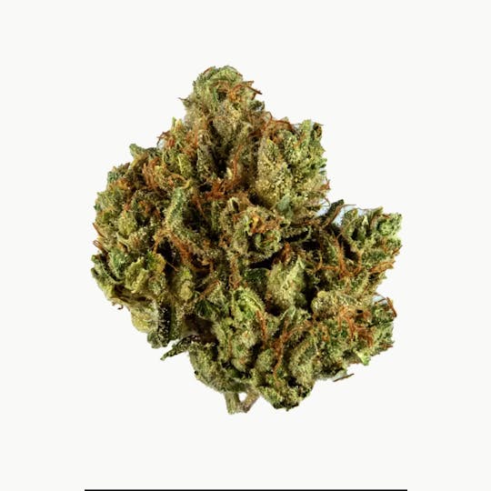 LA Native - Stardust OG - Sungrown - 1