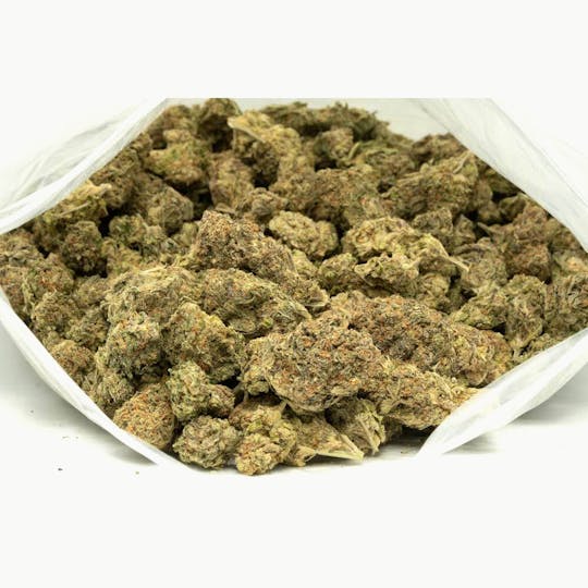 LA Native - Gelato 33 (Low-Shelf) - Hybrid - 1