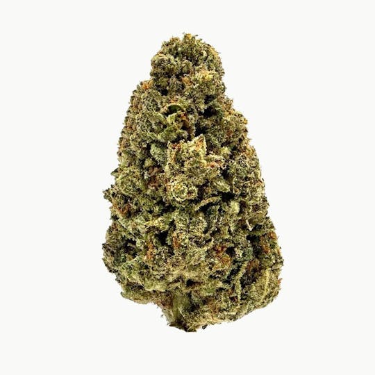 LA Native - Ice Cream Cake - Sungrown - 1