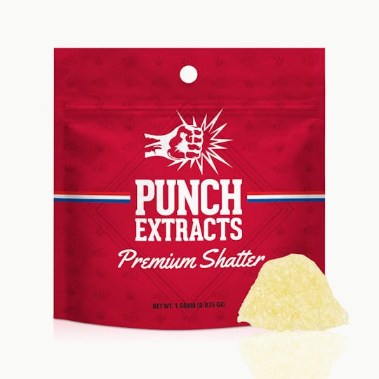 Punch Edibles & Extracts - Thin Mint x Jealousy BHO Shatter (1g) - 1