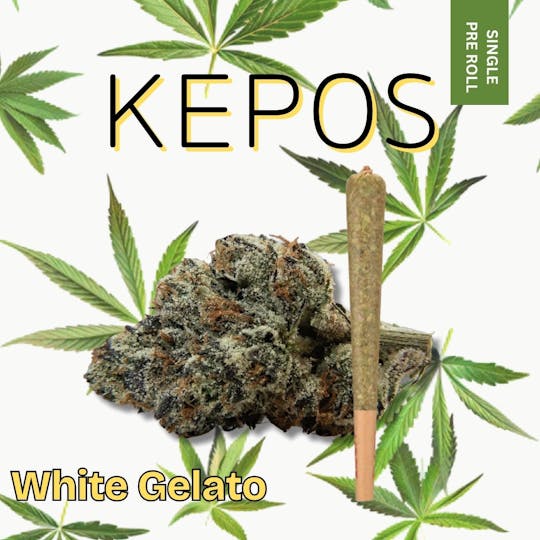 Nu Cannabis Brand - Kepos - White Gelato 1g - PRE ROLL - 1