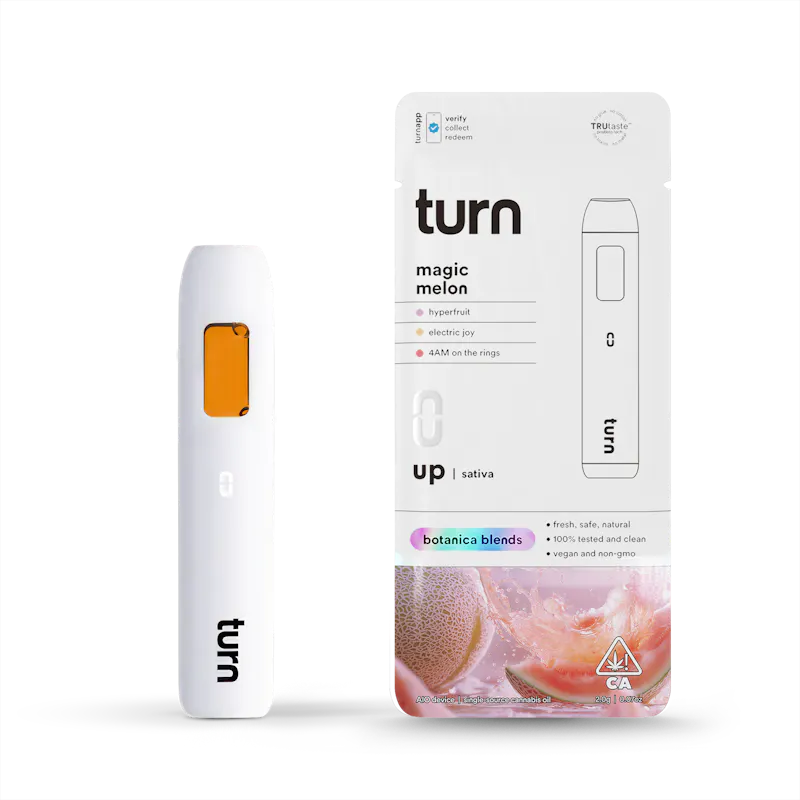 Turn Magic Melon Retrovision 2G Disposable 2g disposable