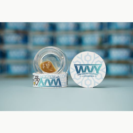 WVY - Rainbow Beltz - 1