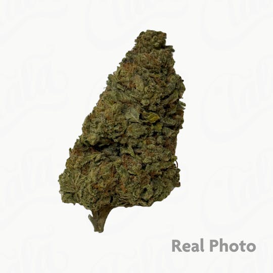 Stingers - Ice Cream Cake - 14 gram - 1