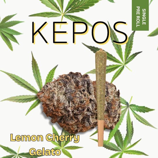 Nu Cannabis Brand - Kepos - Lemon Cherry Gelato 1g - PRE ROLL - 1