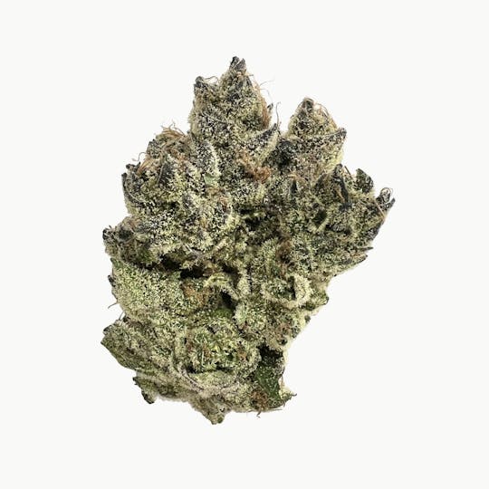 Indico - Dogwalker OG - Unicorn Tears - 1