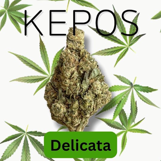 Nu Cannabis Brand - Kepos - Delicata 14g - PREMIUM FLOWERS - 1