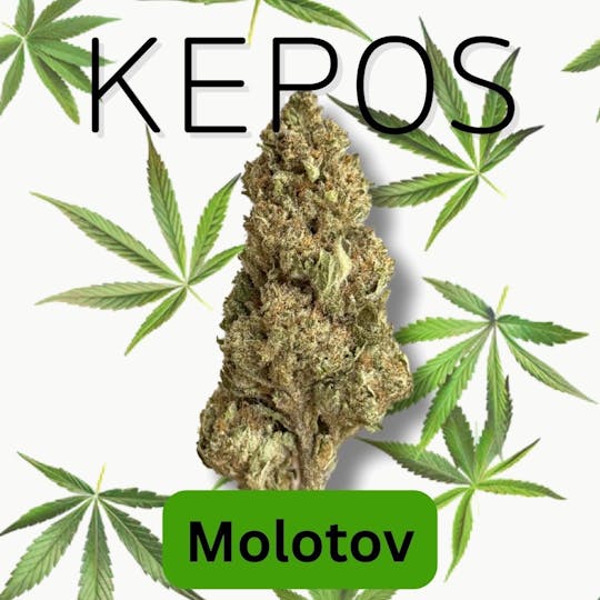 Nu Cannabis Brand - Kepos - Molotov 14g - PREMIUM FLOWERS - 1