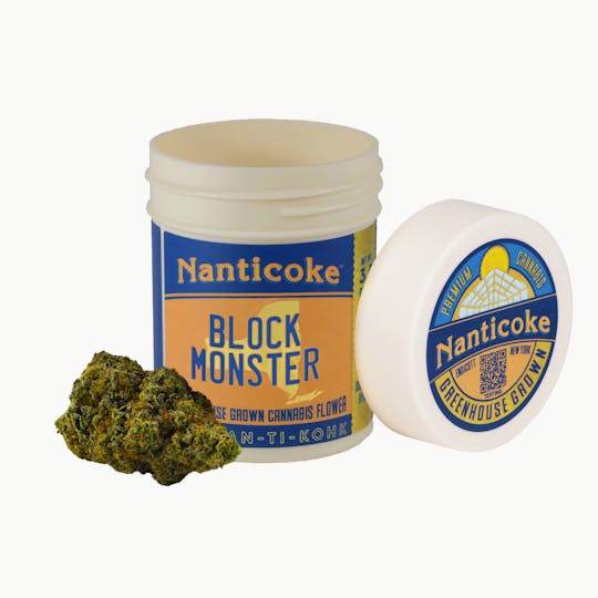 Nanticoke - BLOCK MONSTER FLOWER - 1